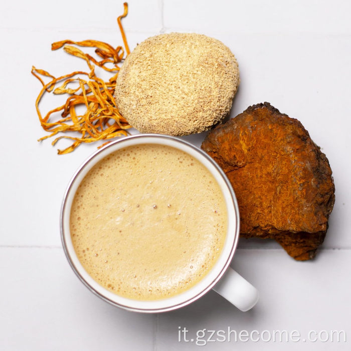 Estratti vegetali di funghi biologici Performance